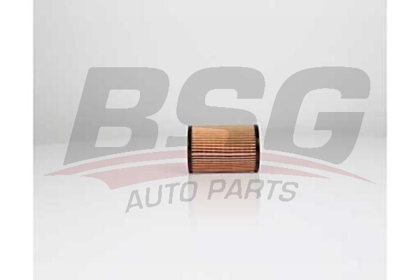  BSG BSG 65 140 019