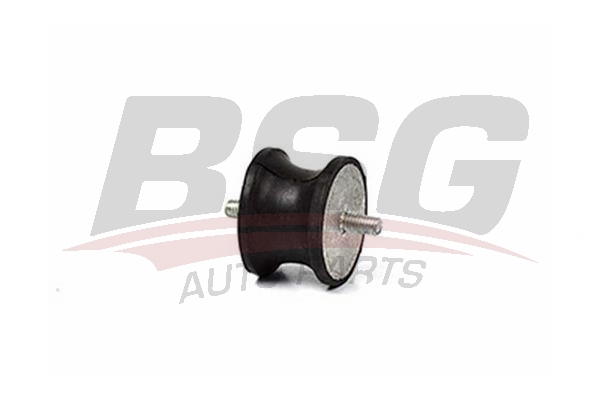  BSG BSG 30 700 055
