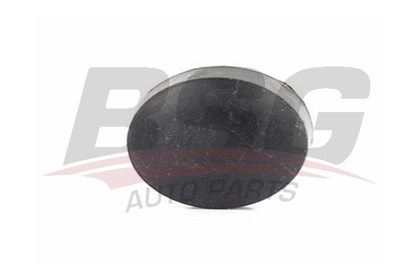  BSG BSG 30 700 013