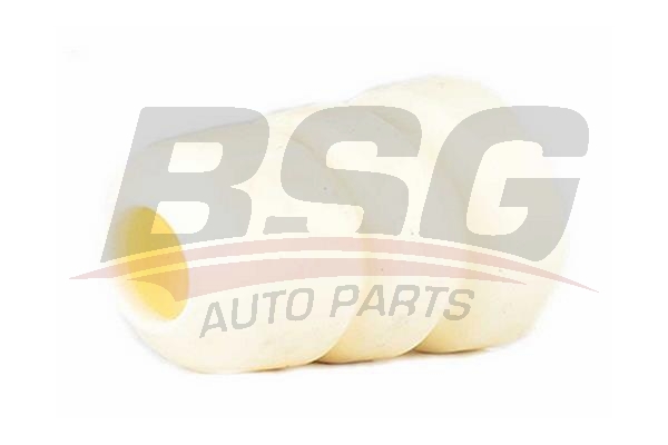  BSG BSG 30 700 111